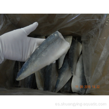 Filetes de pescado congelado de filete de exportación china Filetes de caballa de pescado